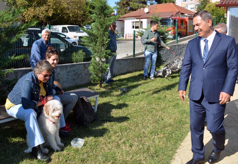 4 Ekim Hayvanları Koruma Gününde örnek bir çalışmaya imza atan Kdz.Ereğli Belediyesi sahipli köpek ve kediler için ücretsiz aşı kampanyası düzenledi. Başkan Hüseyin Uysal, 90 kedi ve köpeğin aşılandığı kampanyaya çevre il ve ilçelerden de yoğun katılımın olduğunu söyledi.