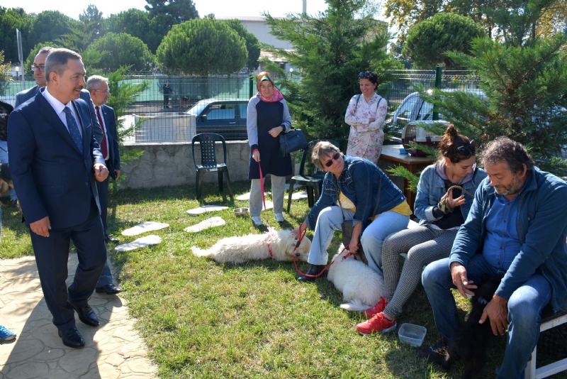 4 Ekim Hayvanları Koruma Gününde örnek bir çalışmaya imza atan Kdz.Ereğli Belediyesi sahipli köpek ve kediler için ücretsiz aşı kampanyası düzenledi. Başkan Hüseyin Uysal, 90 kedi ve köpeğin aşılandığı kampanyaya çevre il ve ilçelerden de yoğun katılımın olduğunu söyledi.