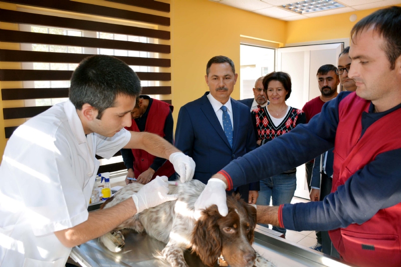 4 Ekim Hayvanları Koruma Gününde örnek bir çalışmaya imza atan Kdz.Ereğli Belediyesi sahipli köpek ve kediler için ücretsiz aşı kampanyası düzenledi. Başkan Hüseyin Uysal, 90 kedi ve köpeğin aşılandığı kampanyaya çevre il ve ilçelerden de yoğun katılımın olduğunu söyledi.