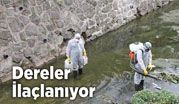 KDZ. EREĞLİ’DE DERE YATAKLARI VE SULAK ALANLAR İLAÇLANIYOR